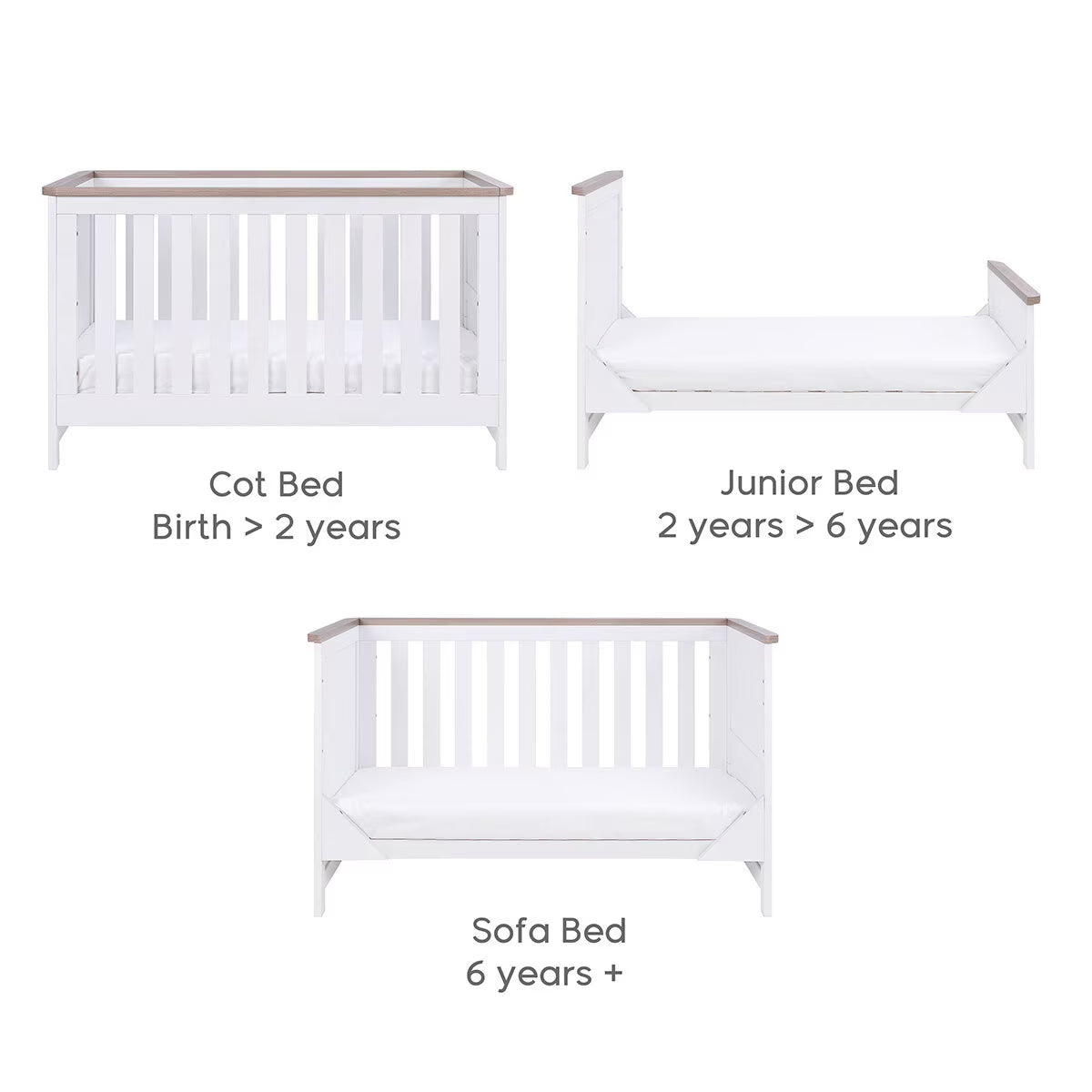 Verona Cot Bed, White & Oak